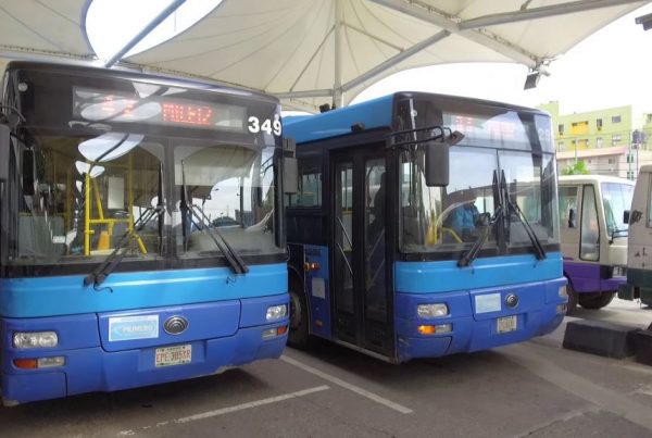 Primero bus